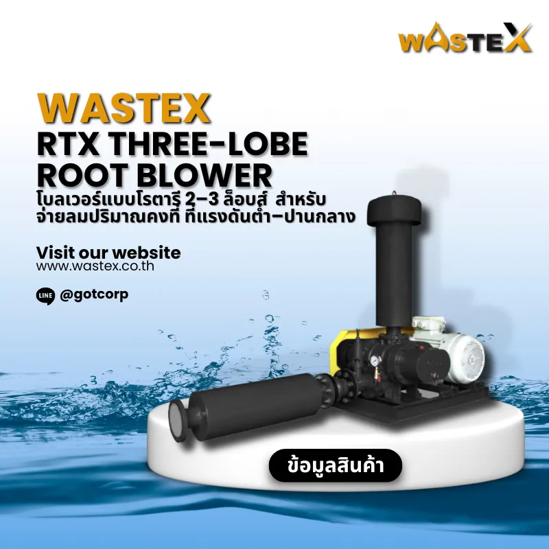 Root Blower โบลเวอร์แบบโรตารี 2-3 ล็อบส์ สำหรับระบบบำบัดน้ำเสียและงานอุตสาหกรรม
